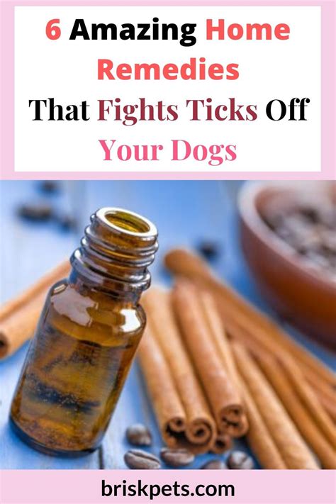 6 Amazing Home Remedies That Fights Ticks Off Your Dogs | Ticks on dogs, Home remedies, Get rid ...