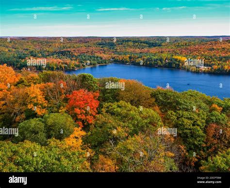 Splash of fall colors in Dorset, ON, Canada. Fall in Ontario is the ...