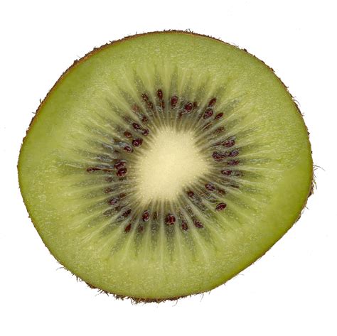 Kiwi Free Stock Photo - Public Domain Pictures