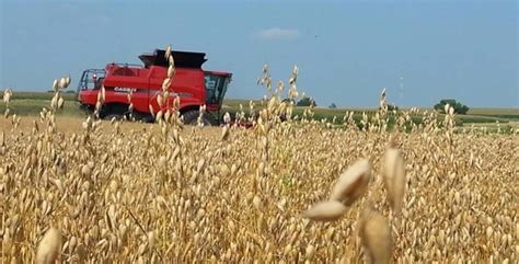 Three phases of oat harvest in Minnesota - Brownfield Ag News