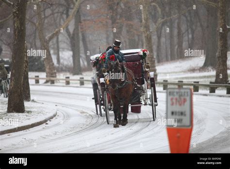 Horse-drawn carriage in Central Park South, New York city, in winter ...