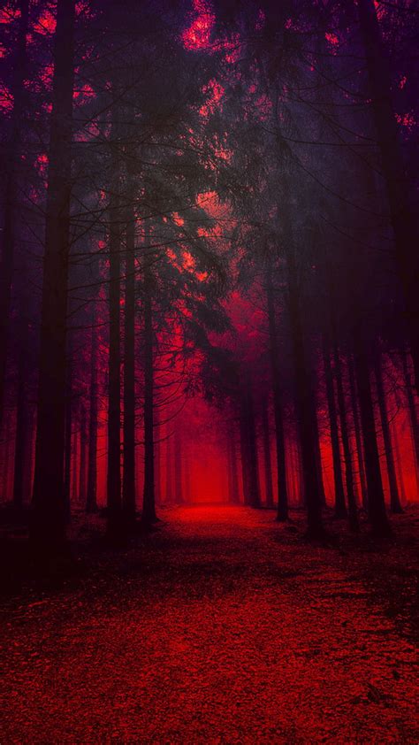 Artistic Red Forest In Resolution. dark , Forest , Dark red , Red ...