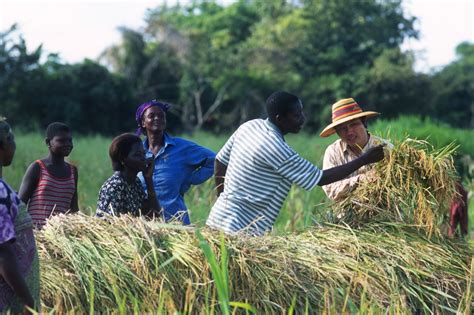 China and Brazil in African Agriculture – Future agricultures