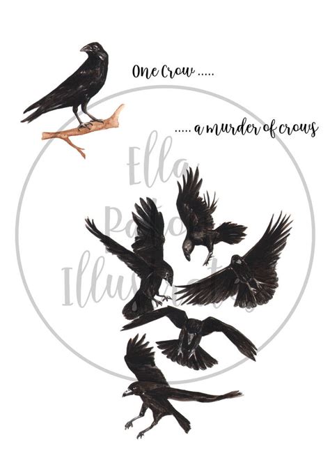 A Murder Of Crows Collective Noun Watercolour Print By Ella Paton Illustrates