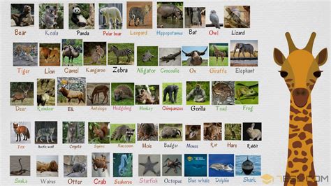 Wild Animals Names | List of 100+ Wild Animals in English • 7ESL | Wild animals list, Animals ...