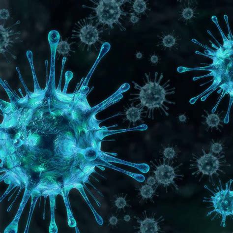 Alaskapox Virus: What You Need To Know About The Unusual Virus