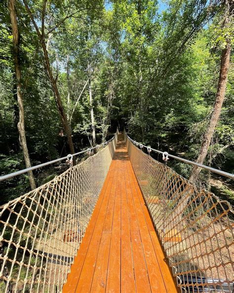 McGalliard Creek Catenary Bridge