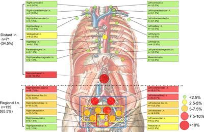 Frontiers | The Establishment of New Thresholds for PLND-Validated ...