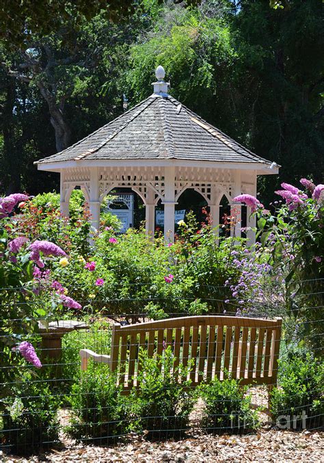 Rose Garden and Gazebo at Central Park in San Mateo CA Photograph by Jim Fitzpatrick | Fine Art ...