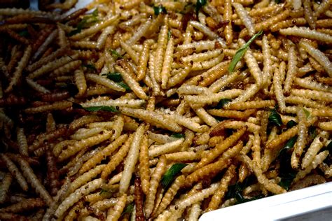 File:Bamboo worms food.jpg - Wikipedia