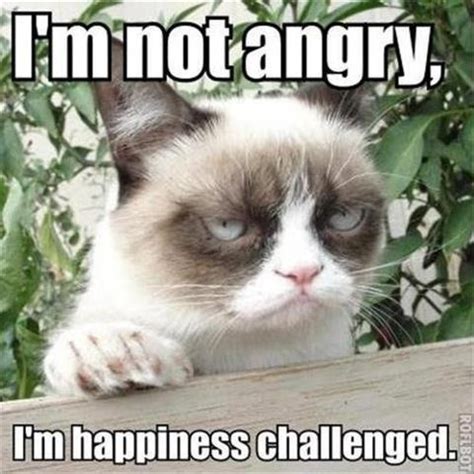 Grumpy Cat: I'm not angry. I'm happiness challenged. | Memes: Grumpy ...