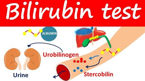 Bilirubin test - Direct, Indirect & Total bilirubin levels - YouTube