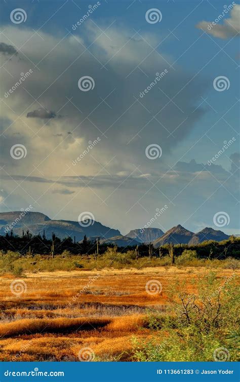 Sonoran Desert stock image. Image of clouds, mountains - 113661283