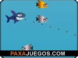 Black Shark - Juegos gratis y divertidos online en Paxajuegos.com