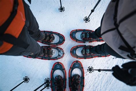 Hardangerfjord Winter Wonders On A Exclusive Guided Snowshoe Hike