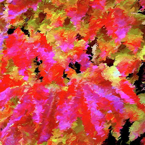 Autumn Leaves Abstract Digital Art by Dana Roper - Fine Art America