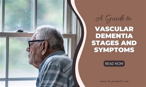 A Guide to Vascular Dementia Stages and Symptoms - SR Parents