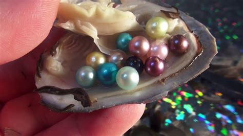 Perfect Catch: How to Find the Perfect Pearl by Catching Giant White ...