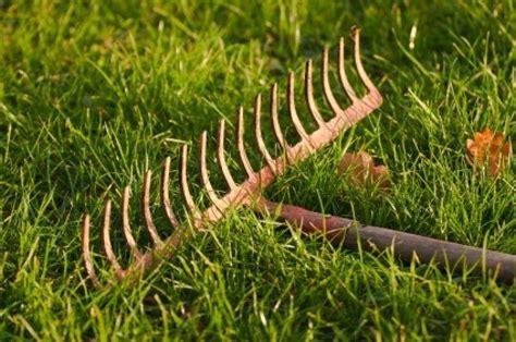 Uses for Old Garden Rakes | ThriftyFun