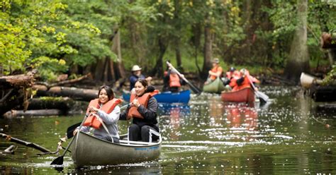 Exploring Canoe Types: A Guide to Varieties (Updated)