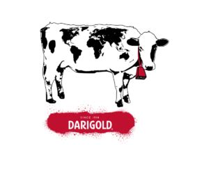 12 Days of Darigold's World Cow - Darigold