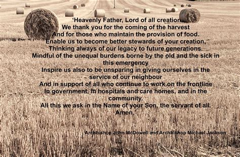 Celebrating Harvest in this Exceptional Year - The United Dioceses of ...