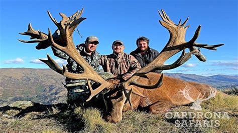 World Class New Zealand Red Stag Hunting With Venator Cardrona Safaris ...