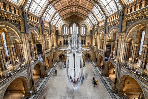 The Natural History Museum Lobby, London, United Kingdom