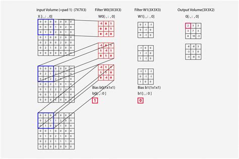 Convolutional Neural Network with Python Code Explanation ...