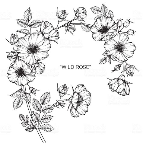 Hand drawing and sketch Wild rose flower. Black and white with line... | Abstract flower tattoos ...