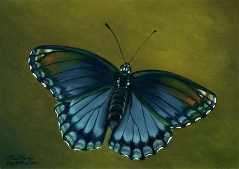 Realistic Butterfly Painting at PaintingValley.com | Explore collection ...