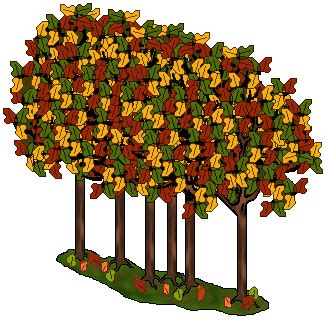 Autumn forest clipart 20 free Cliparts | Download images on Clipground 2024