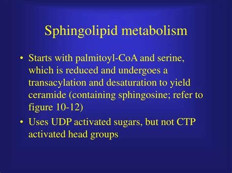 PPT - Sphingolipid metabolism PowerPoint Presentation, free download - ID:949369