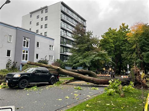 A tree crashed through a window in the West End after heavy storm ...