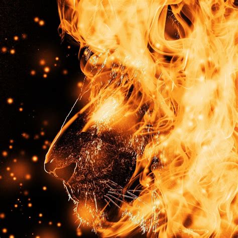 Danger Blue Fire Lion Wallpaper ~ Animal Face Wallpaper | Giblrisbox Wallpaper