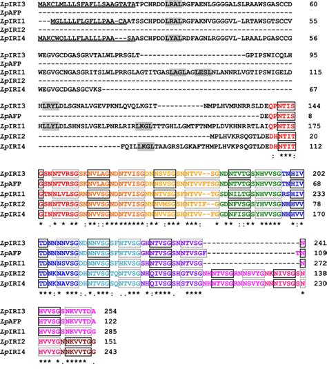 Amino acid sequence alignment of LpIRIP sequences. LpIRI3 (EU680850),... | Download Scientific ...