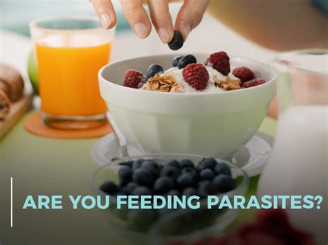 Are You Feeding Parasites? What Not to Eat If You Have Parasites!