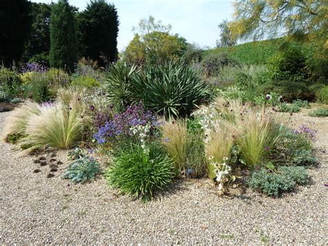 gravel garden beth chatto - Google-Suche | Gravel garden, Dry garden, Garden maintenance