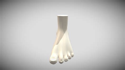 Foot - Download Free 3D model by niamhmundy5 [42d03f9] - Sketchfab