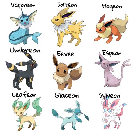 Evoluciones de Eevee | Pokemon eevee, Eevee cute, Cute pokemon