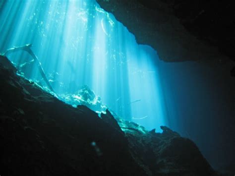 Mexico's Underwater River: A Paradise For Divers The World Over