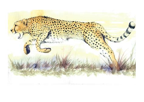 A watercolour cheetah, painted for a personalised greeting card. | Artwork, Watercolor, Greeting ...