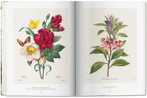 Redouté. The Book of Flowers. TASCHEN Books