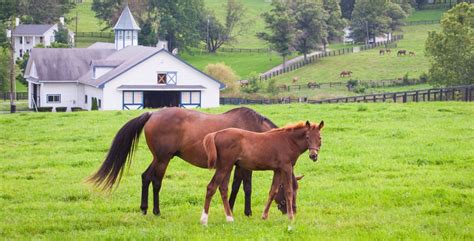 5 Signs It’s Time For a New Manure Spreader - Millcreek Spreaders