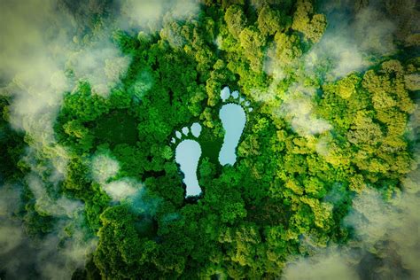 What is a Carbon Footprint? 3 Ways to Reduce your Carbon Footprint