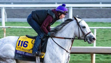 Arabian Knight Favored in 40th Breeders' Cup Classic - TrueNicks.com