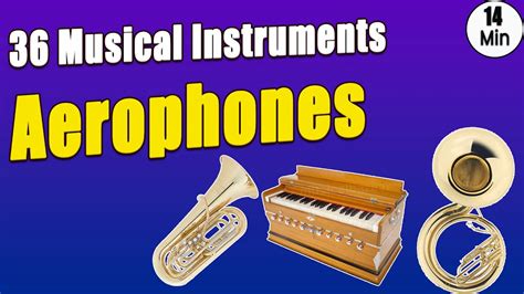 Aerophones: 36 Musical Instruments with Pictures & Video | Ethnographic ...