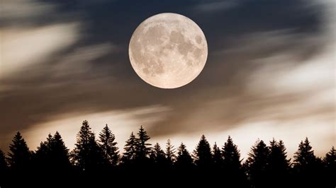 The August Blue Moon 2023 is the biggest and brightest moon this year | Space