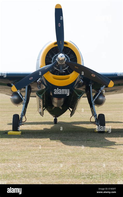 Vintage WW2 USN Grumman Avenger torpedo bomber Stock Photo - Alamy