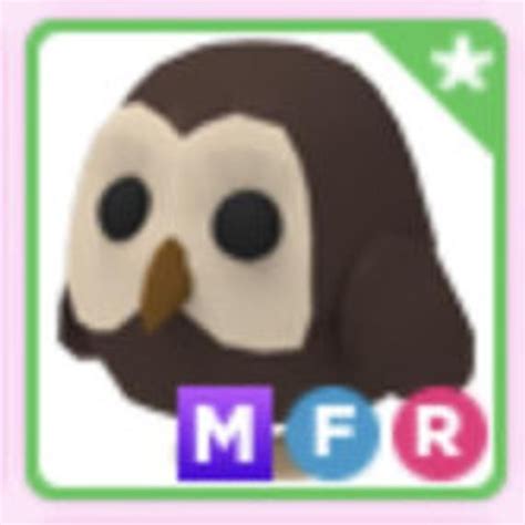 Adopt Me Roblox Mega Neon Owl Fly Ride MFR in 2021 | Pet adoption certificate, Pet adoption ...